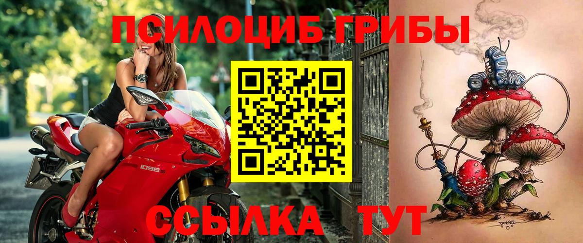Галлюциногенные грибы GOLDEN TEACHER Еманжелинск